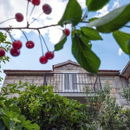 Holiday home The Old Stone House, Zrnovnica Split